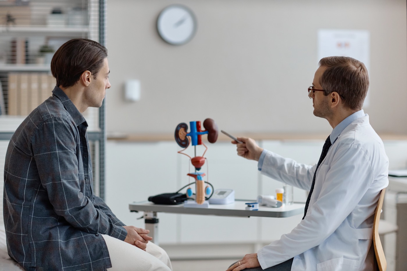 Urologist explaining a urinary system model to a patient during consultation