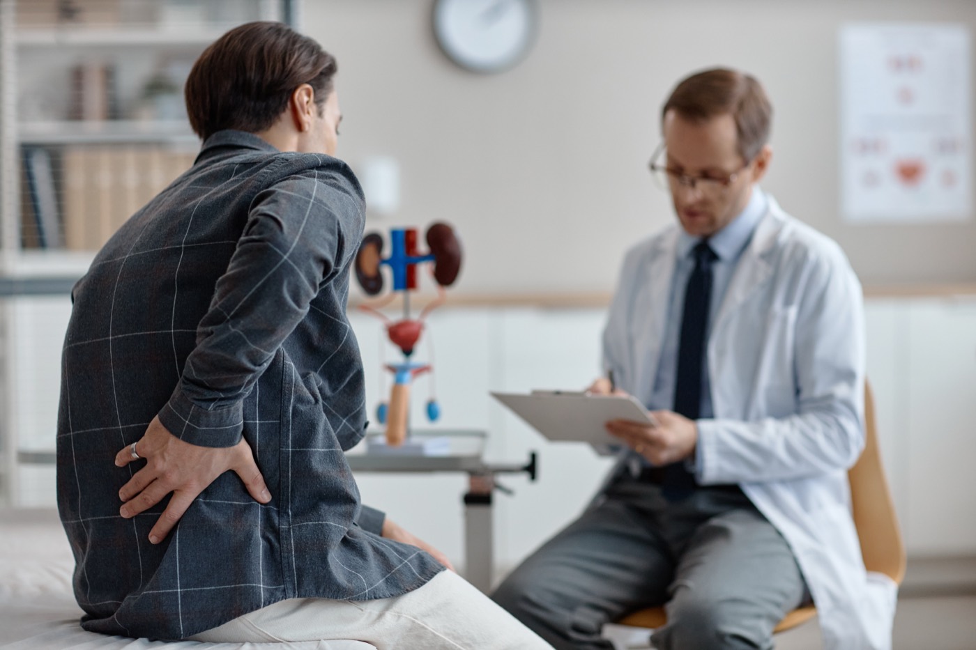 Urologist reviewing a medical chart with an anatomical kidney model on the desk