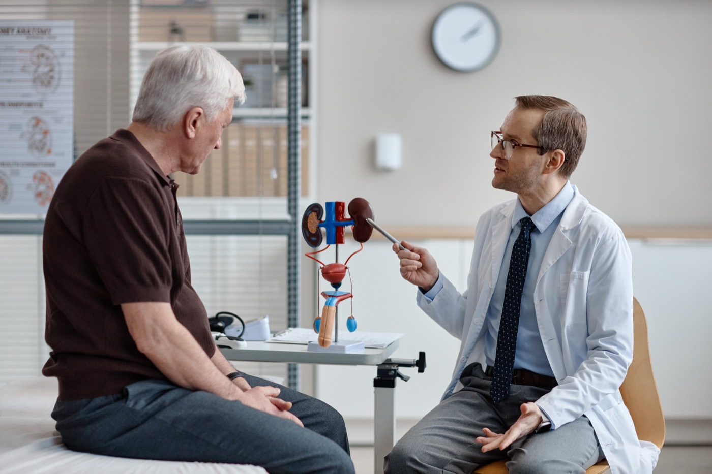 Urologist explaining a urinary system model to a patient in the examination room